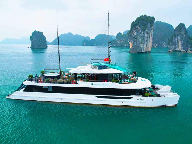 The Halong Catamaran Cruise - 1 Day Tour - Halong Bay & Lanha Bay